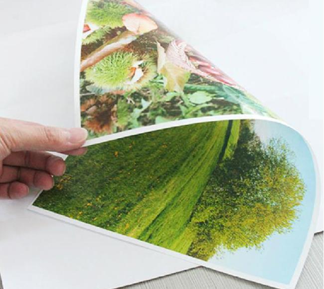 Dye Ink Printing A4 Double Sided Glossy Inkjet Photo Paper 160 Gram