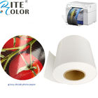 Waterproof Micro Porous RC Dry Lab Glossy Photo Paper Roll For Epson Fuji DX100