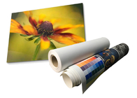 Latex Matte Waterproof Polyester Canvas Roll Eco Solvent 280gsm