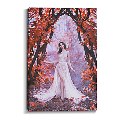 Custom Framed Canvas Prints With Inkjet Cotton Canvas Available In Standard And Custom Sizes