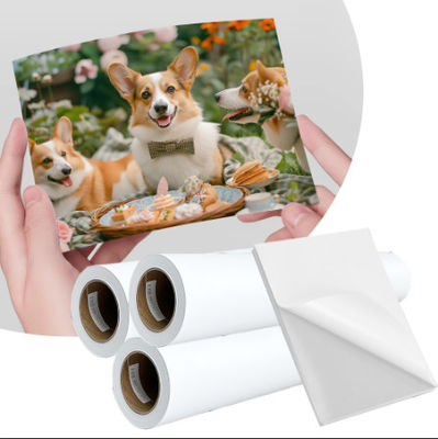 108gsm Waterproof Pigment Dye Inkjet Matte Coated Label Sticker Paper