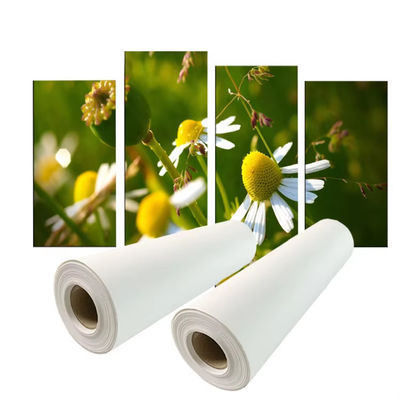 Pigment Printing 280gsm Polyester Canvas Roll
