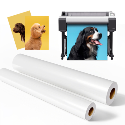 Microporous RC Luster Photo Paper Roll 260gsm for Epson Large Format Printers